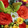 Love In Casablanca Mixed Rose Bouquet - Heart & Thorn flower delivery - USA delivery