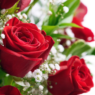 Loving You Red Rose Basket - Heart & Thorn flower delivery - USA delivery