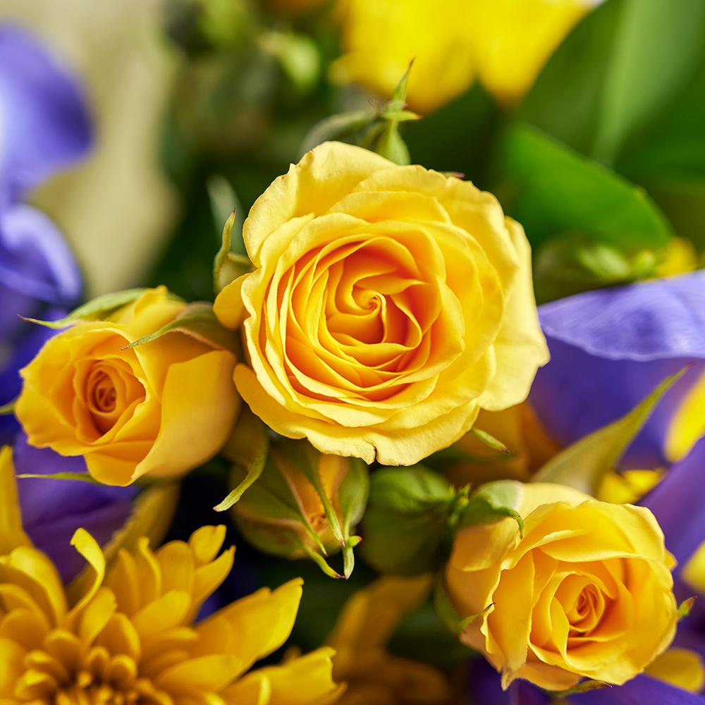 Luminous Lavender Iris Bouquet. Purple Irises and Yellow Spray Roses, Daisies, and Greens Gathered in a Floral Wrap and Tied with a Designer Ribbon. Mixed Floral Gifts from Heart & Thorn USA - Same Day USA Delivery.