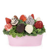 Mother's Day Pink 12 Chocolate Covered Strawberry Gift Tin from Heart & Thorn USA - Chocolate Gift - USA Delivery