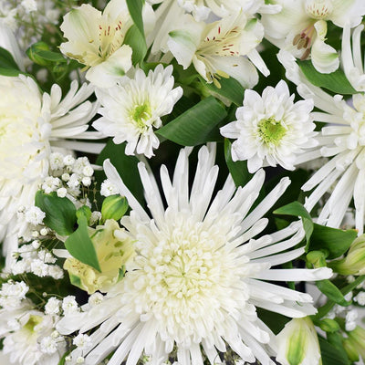 Peaceful White Mixed Floral Arrangement - Heart & Thorn flower delivery - USA delivery