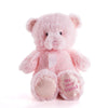 Pink Best Friend Baby Plush Bear - Heart & Thorn - USA gift delivery