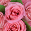 Pink Glow Box Rose Set - Heart & Thorn flower delivery - USA delivery