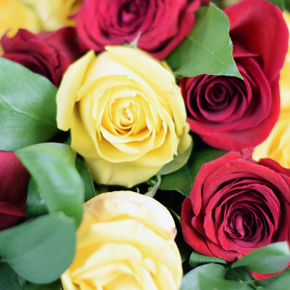 Raspberry Ripple Mixed Rose Bouquet - Heart & Thorn flower delivery - USA delivery