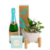 Reasons to Celebrate Plant & Champagne Gift - Heart & Thorn plant gifts - USA delivery