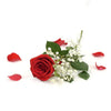 Valentine's Day Single Red Rose - Heart & Thorn flower delivery - USA delivery