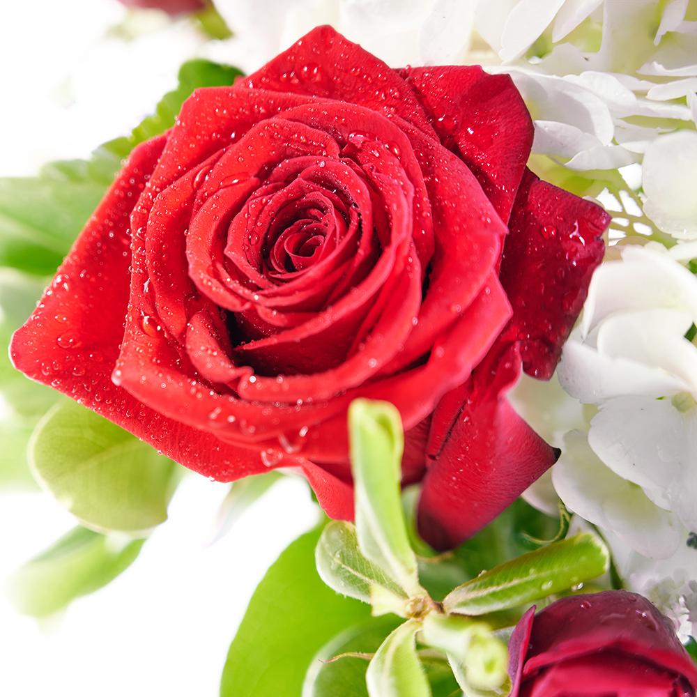 Rose and Hydrangea Vase with Wine. Bottle of Premium Wine, Red Roses, Heart-Shaped Sugar Cookie, White Hydrangeas, Spray Roses, Baby’s Breath, and Eucalyptus Arranged in a White Ceramic Vase. Flower Gifts from Heart & Thorn USA - Same Day USA Delivery.