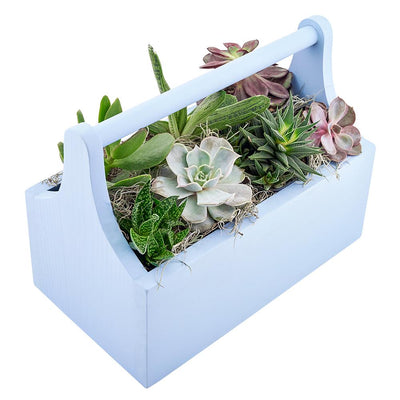 Rustic Charms Succulent Garden - Heart & Thorn flower delivery - USA delivery