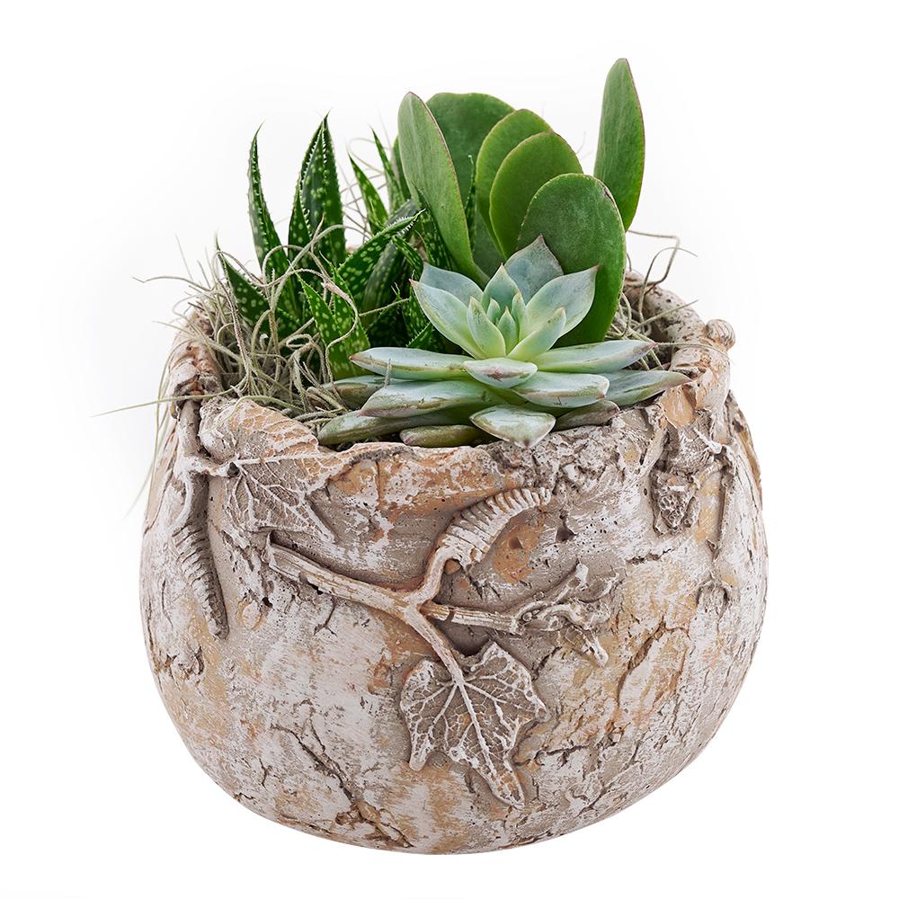 Shades of Green Succulent Garden - Heart & Thorn flower delivery - USA delivery