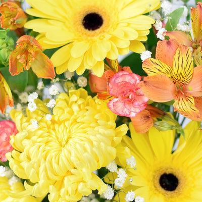 Sunrise Mixed Floral Arrangement. Gerbera, Alstroemeria, Spider Chrysanthemums, Mini Carnations, Daisies, and Baby’s Breath in a Square Black Hat Box. Mixed Floral Gifts from Heart & Thorn USA - Same Day USA Delivery.