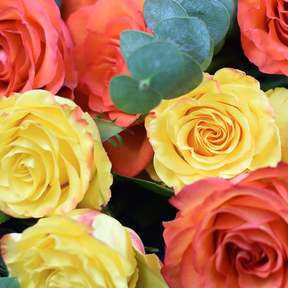 Sunset Rose Bouquet - Heart & Thorn flower delivery - USA delivery