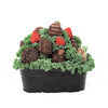 Valentine's Day Chocolate Dipped Strawberries Tin - Heart & Thorn chocolate delivery - USA delivery