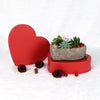 Valentine's Day Heart Succulent Trio - Heart & Thorn plant delivery - USA delivery