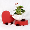 Valentine's Day Planted with Love Anthurium - Heart & Thorn plant delivery - USA delivery