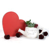 Valentine's Day Planted with Love Succulent Trio - Heart & Thorn plant delivery - USA delivery
