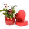 Valentine's Day Ardent Red Anthurium - Heart & Thorn flower delivery - USA delivery