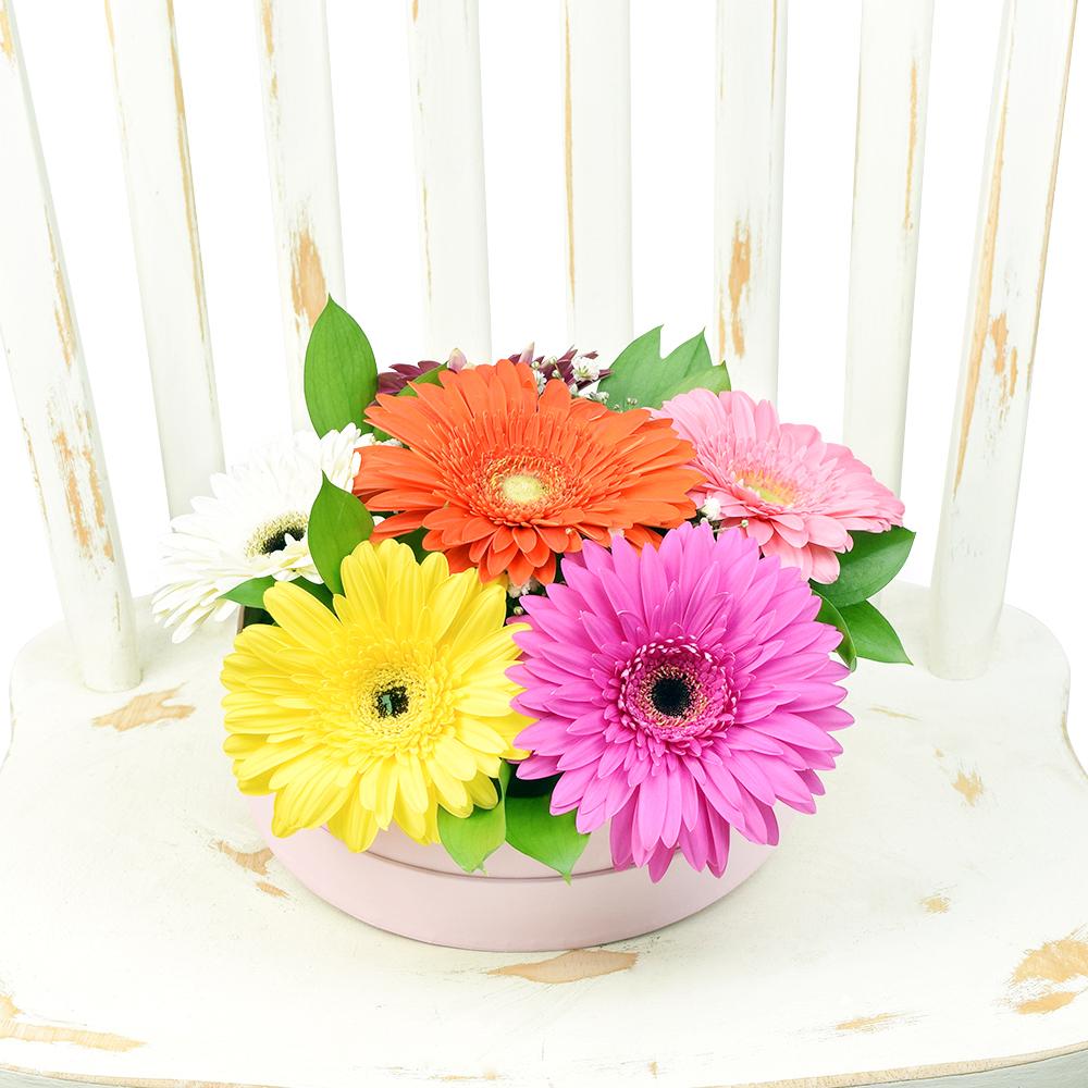 Vivacious Daisy Arrangement - Heart & Thorn flower delivery - USA delivery