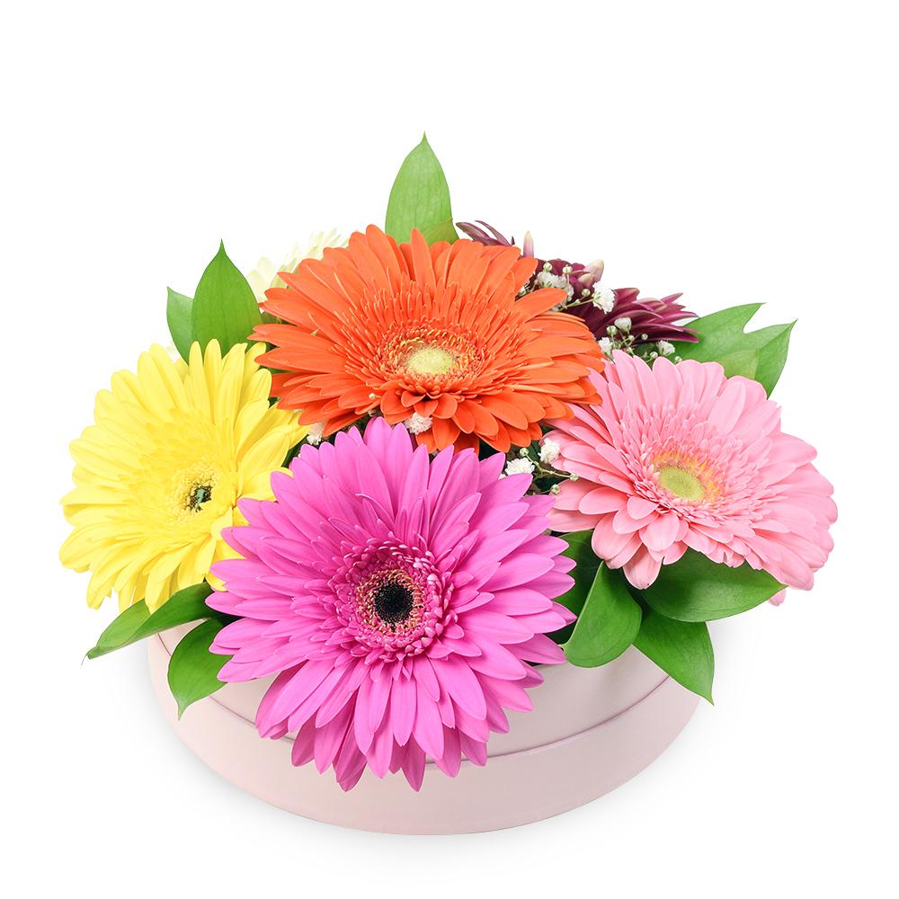 Vivacious Daisy Arrangement - Heart &amp; Thorn flower delivery - USA delivery