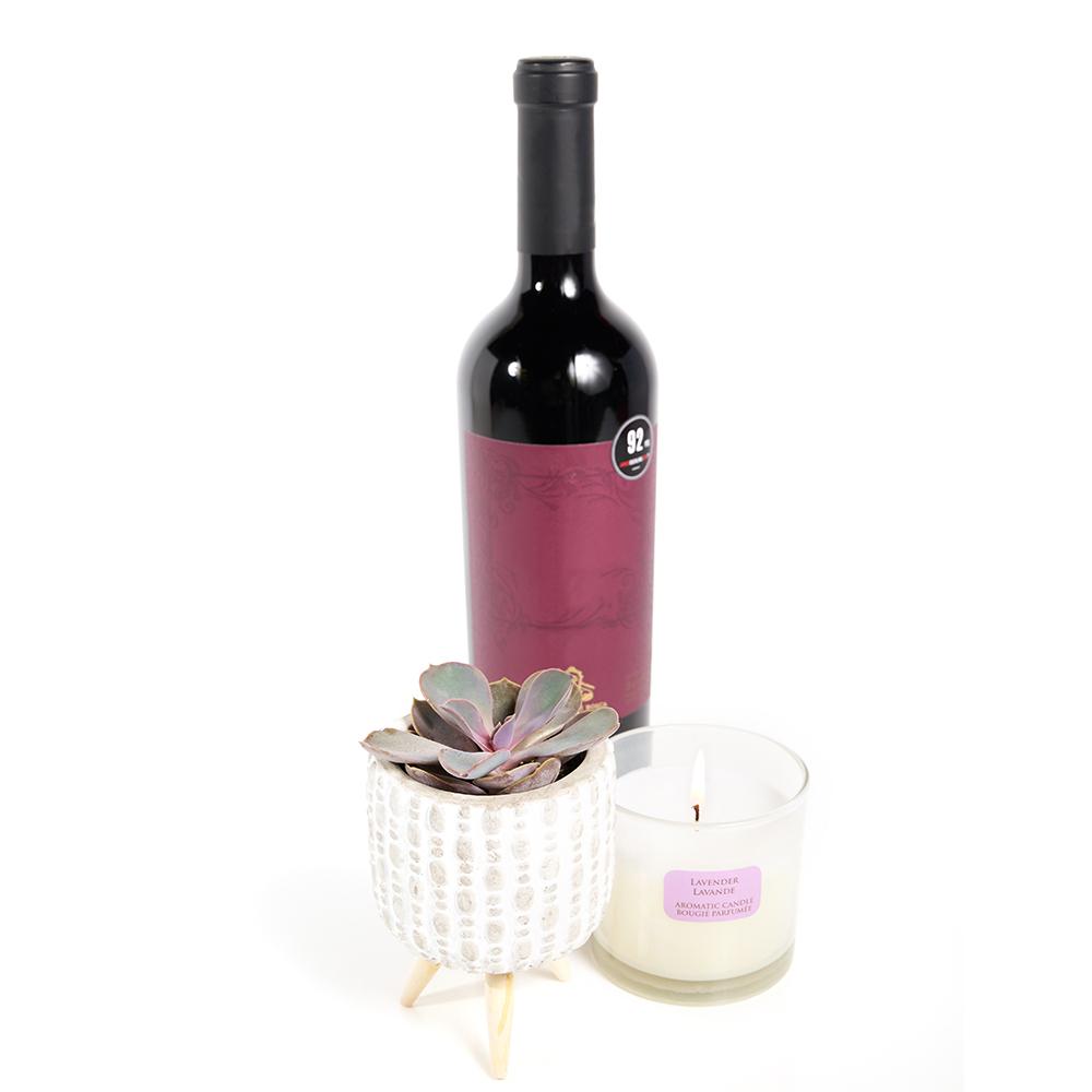 You're Special Plant &amp; Wine Gift - Heart &amp; Thorn plant gift - USA delivery