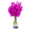The Premium Pink Exotic Orchids Gift from Heart & Thorn USA - Plant Gift - USA Delivery